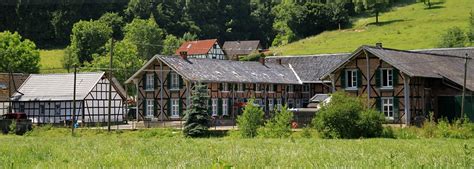 gut schiff